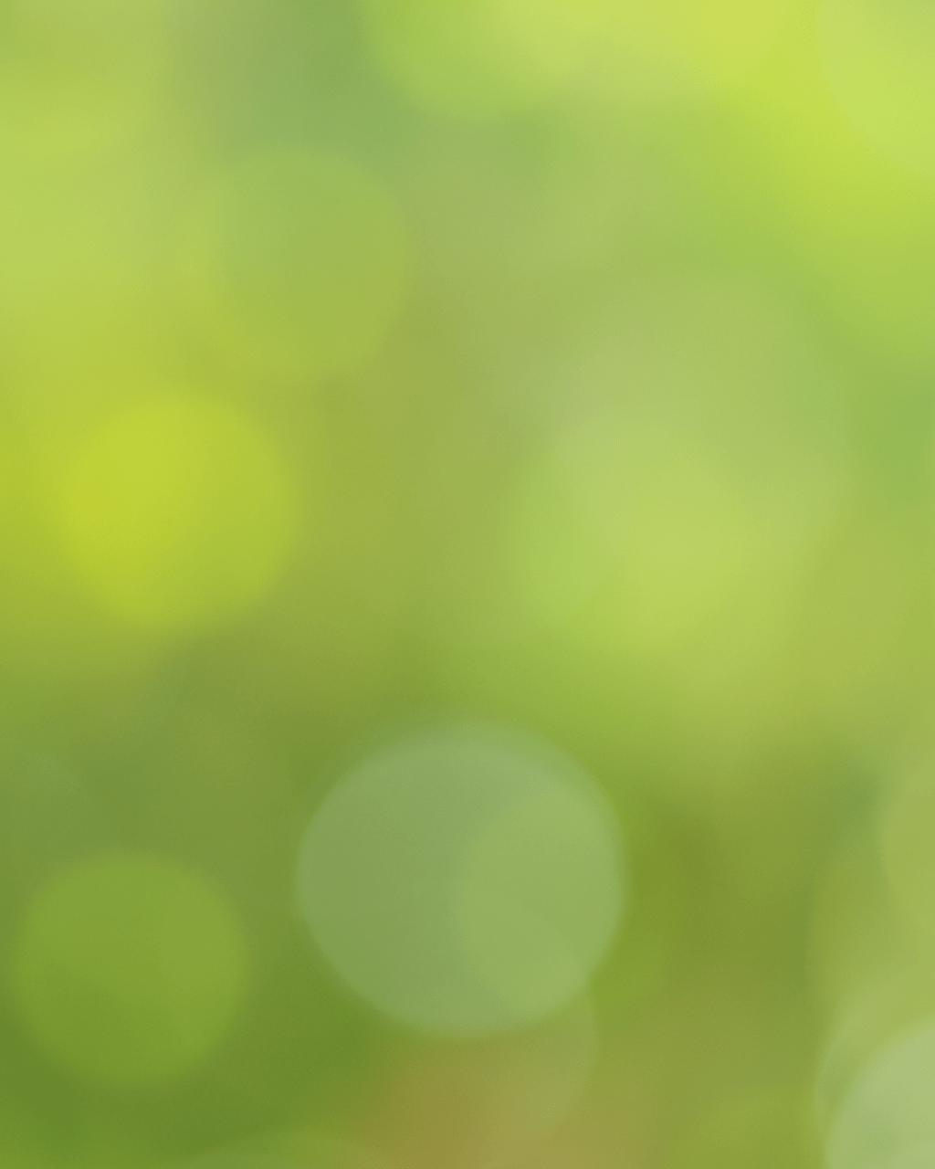 Huile essentielle Pistachier lentisque